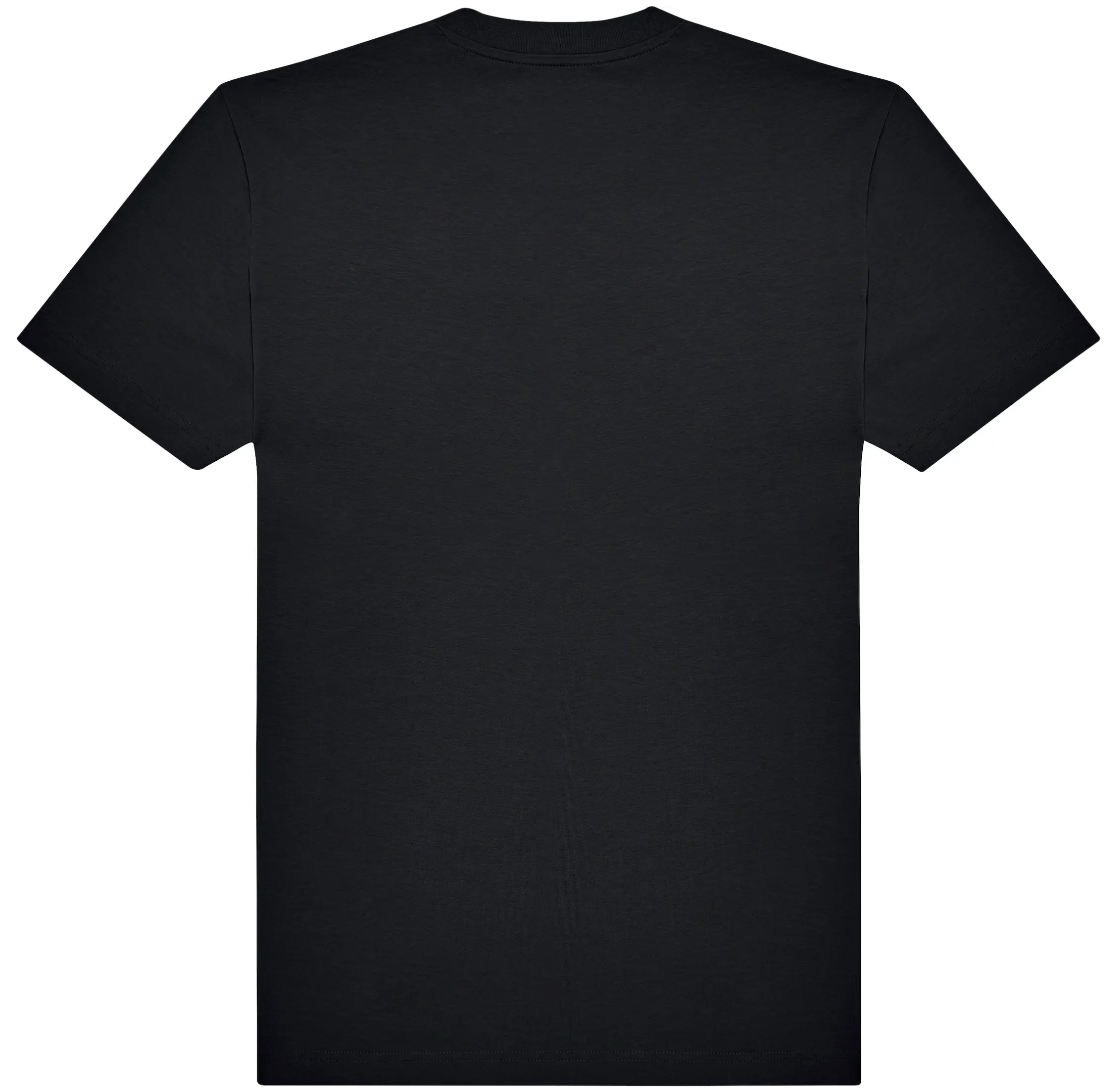 THE FORTUNE-TELLER - T-Shirt